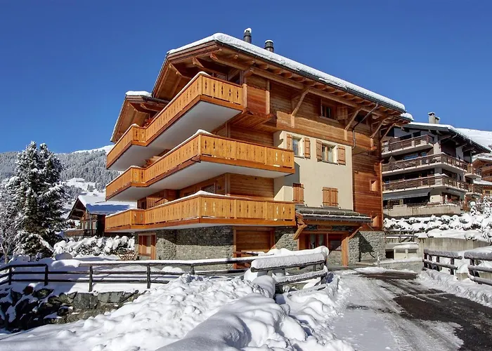 Gai Torrent 103 Daire